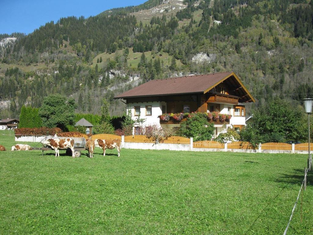 Haus Schoenegger Apartment Dorfgastein Bagian luar foto